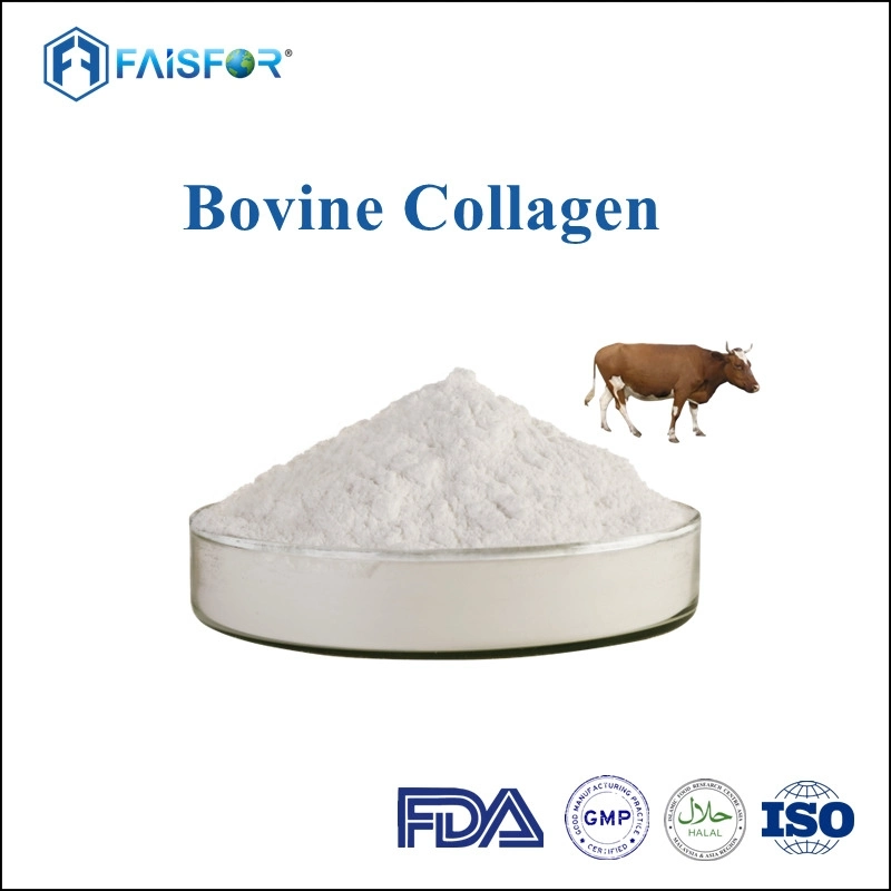 Reines Bovine Collagen Pulver für Gesundheit und Schönheit von Top Chinesischer Hersteller