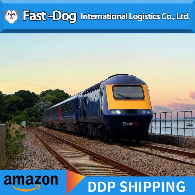 Amazon FBA Warehouse DDP by Sea/Railway/Air Transport