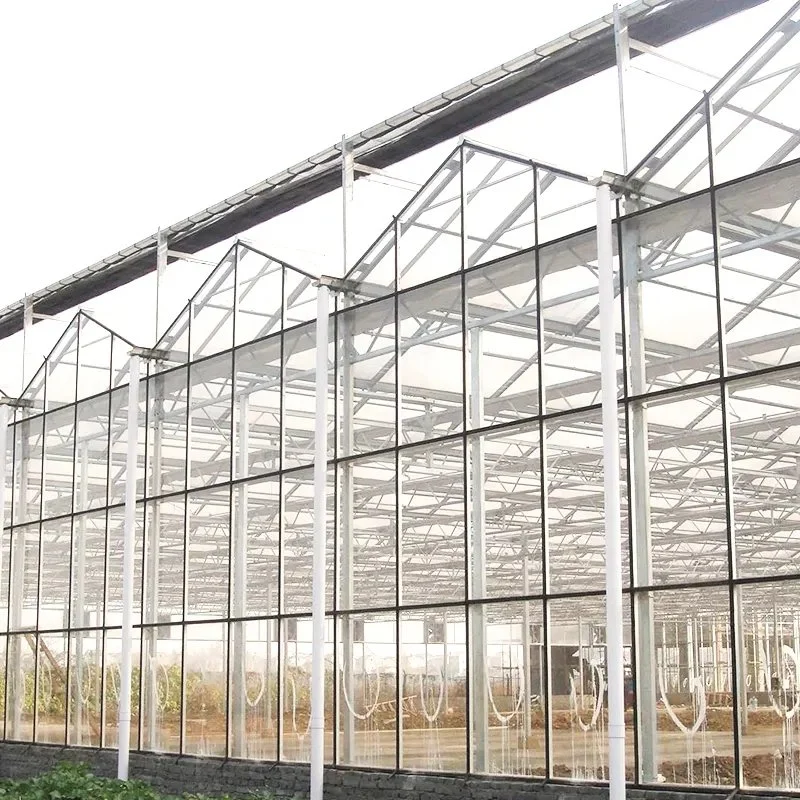 The Factory Supplies High-Quality Single or Double Hollow Glass Greenhouse Agricultural Vegetable Glass Greenhouse