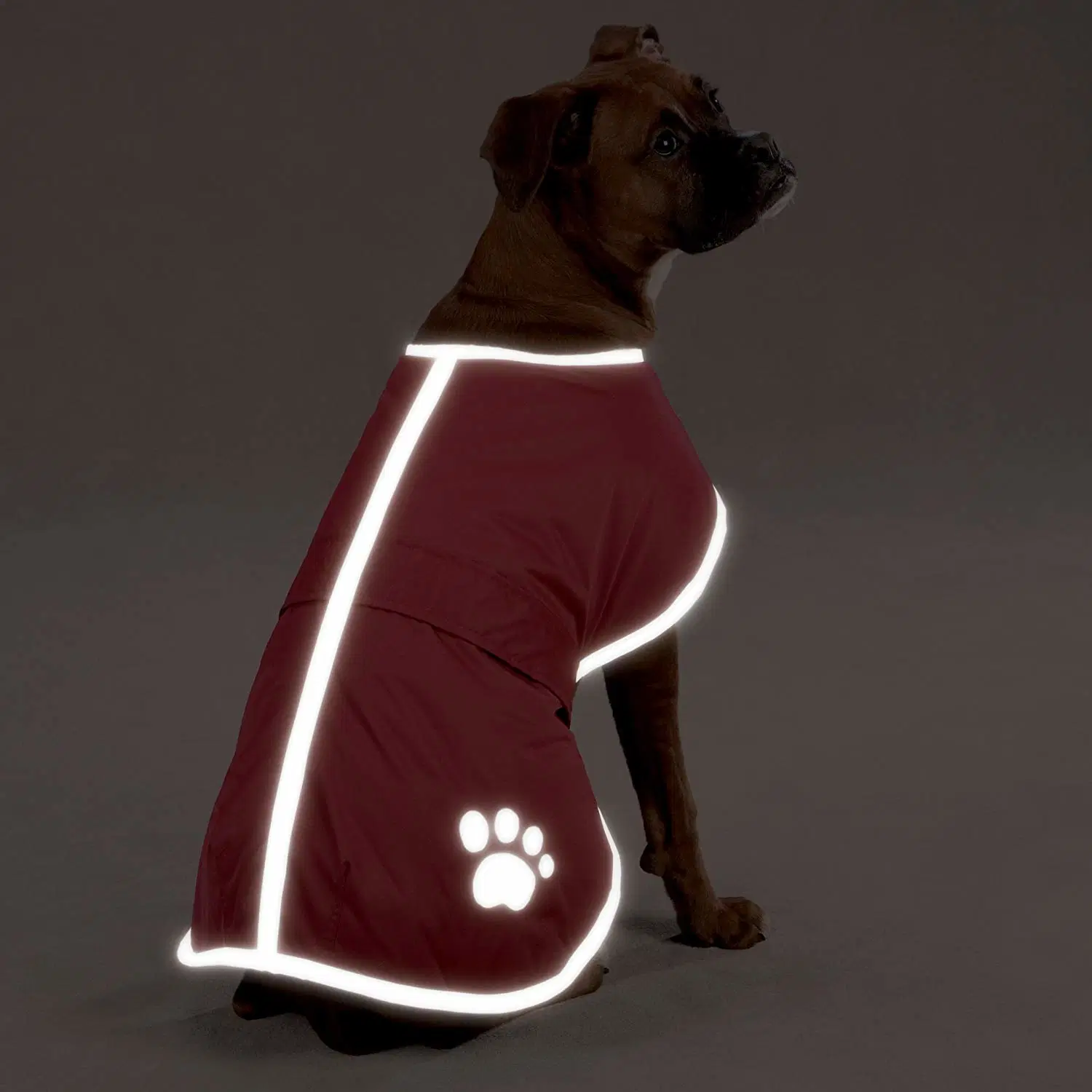 Manta de abrigo impermeable reflectante perro