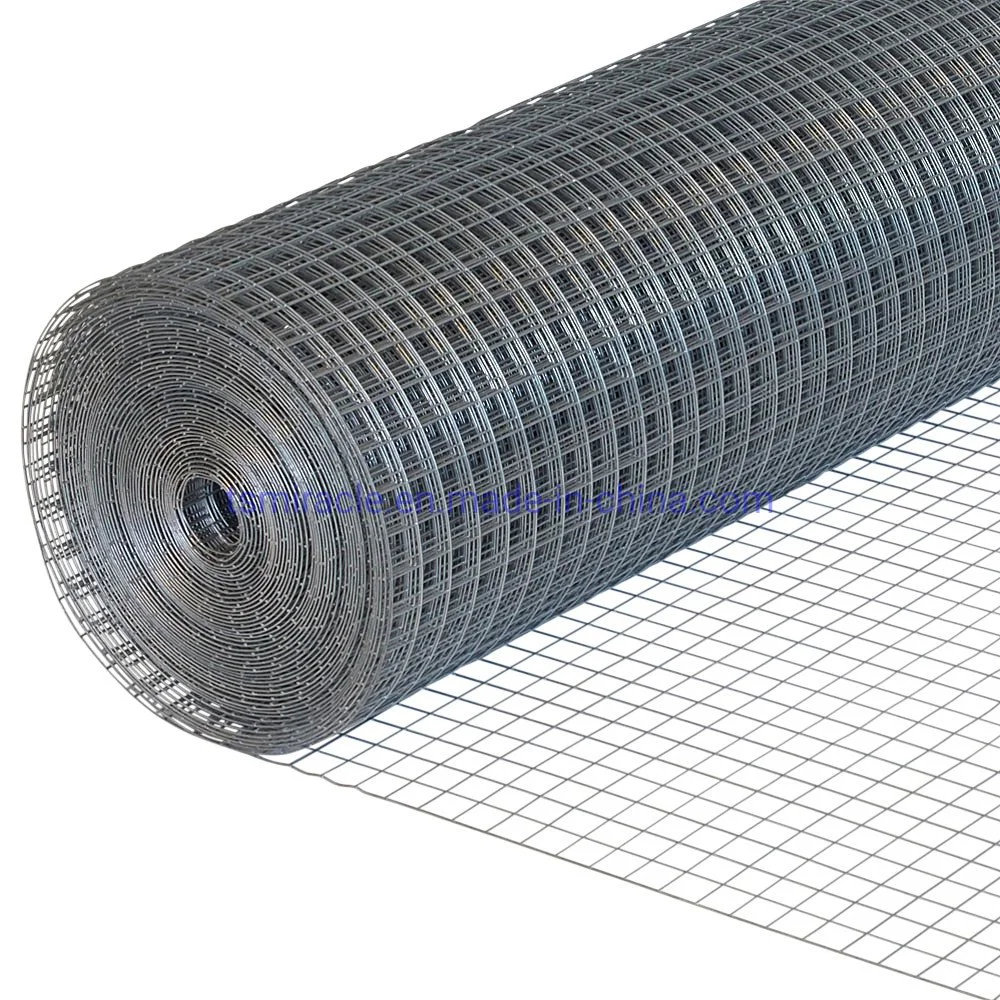 Alta Qualidade soldados galvanizados Wire Mesh no rolo utilizado para as gaiolas de aves/jardim a Régua