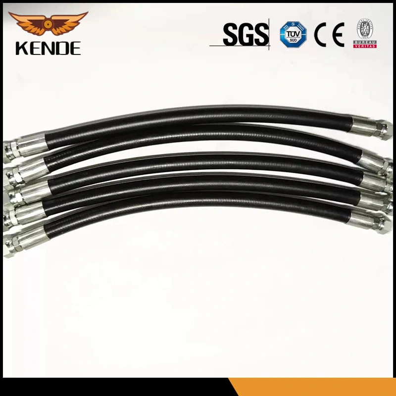 An6 Synthetic Rubber Hose 5 Meters and 10 Aluminum Hose Ends Connector Suit Assembly Transmission Hydraulic Hose