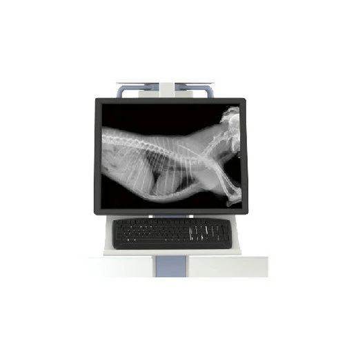 Hot Sale Portable Veterinary Clinic Equipment Digital Radiography System