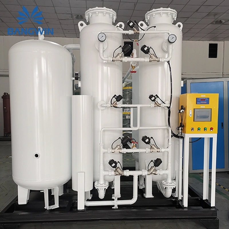 Bw Nitrogen Plant 3nm3/Hr Nitrogen Gas Generator for Food Preservation