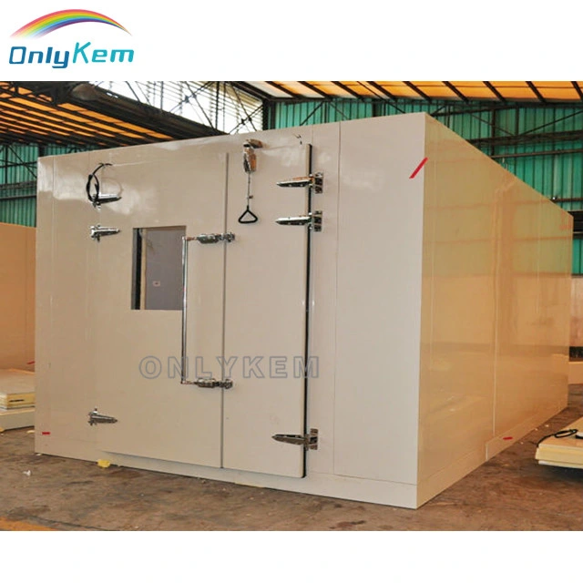 Cold Room Storage with Refrigeration Unit