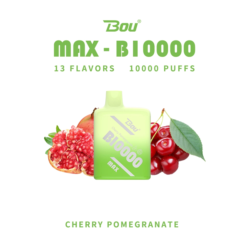 Bou Max B10000 Vape Pen 7000 Puffs E Smoking Cigarette Factory Price