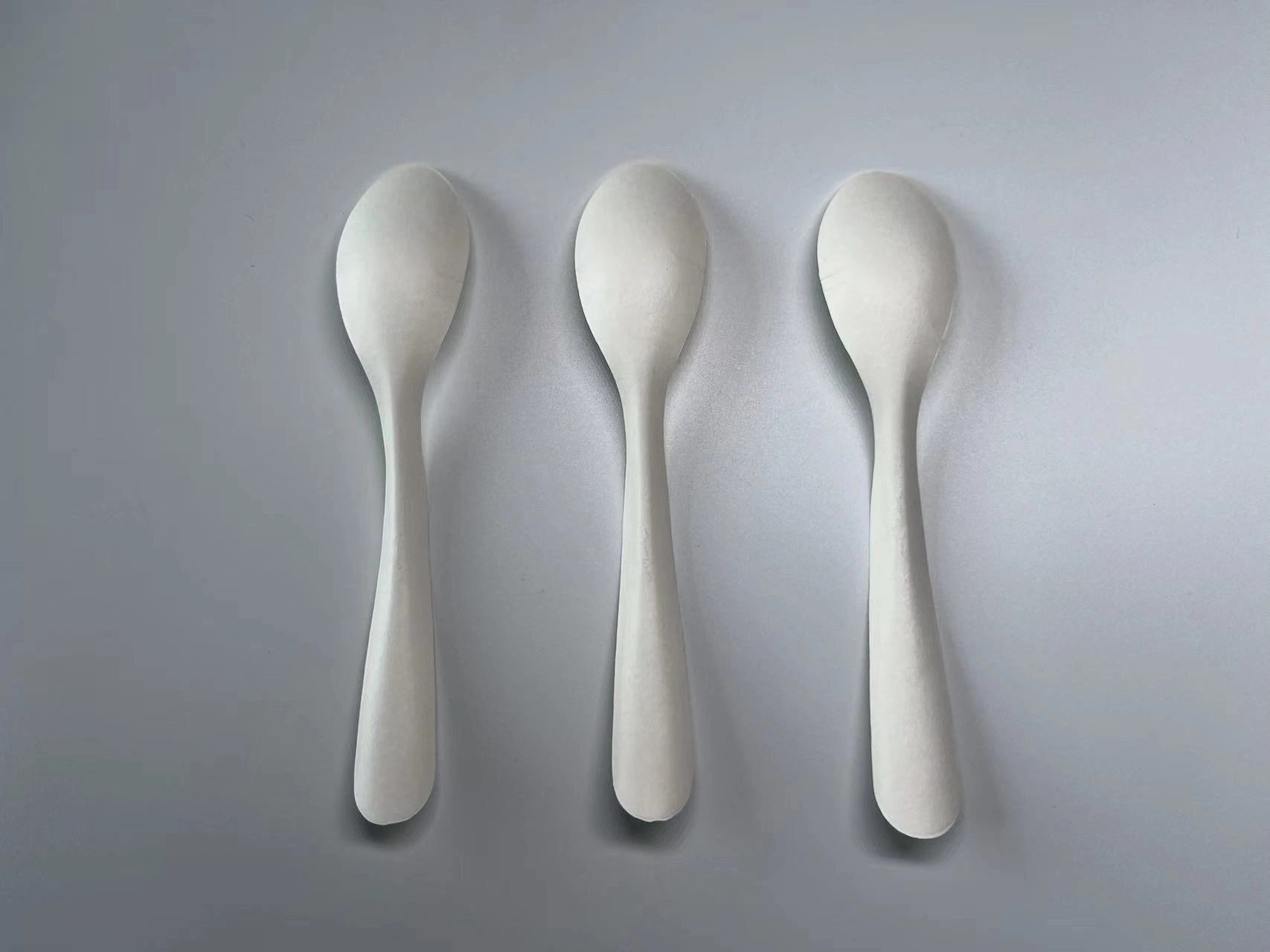 Biodegradable Paper Spoon Disposable Cutlery