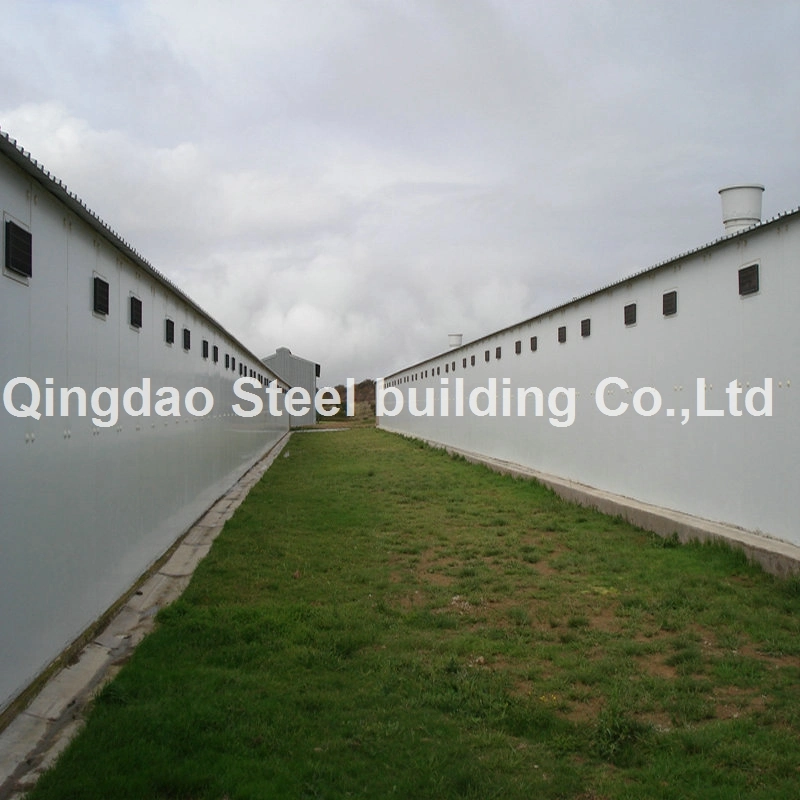 Prefabricated Steel Structure Poultry Farm Animal Husbandry Farm Building