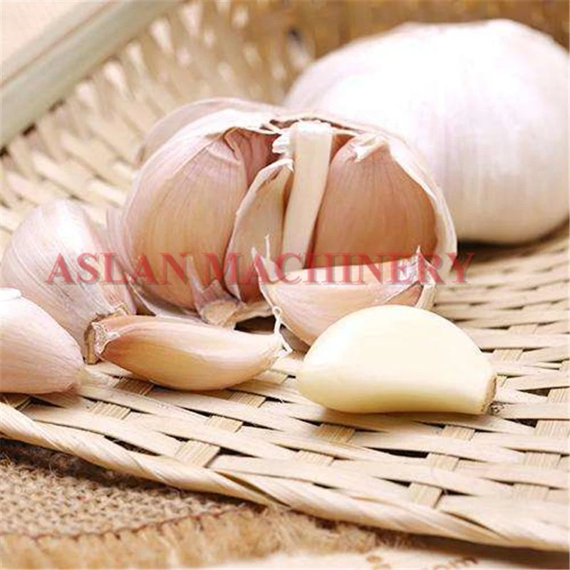 Commercial Garlic Bulb Splitter Garlic Bulb Breaker Garlic Clove Breaking Separating Machine