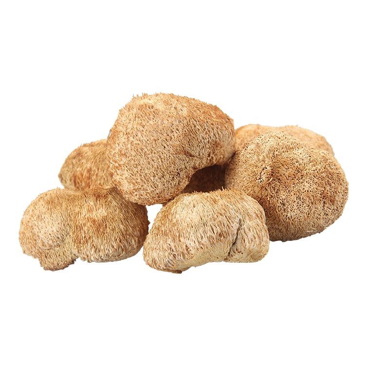 Food Grade Polysaccharide Hericium Erinaceus Extract Lion's Mushroom Extract