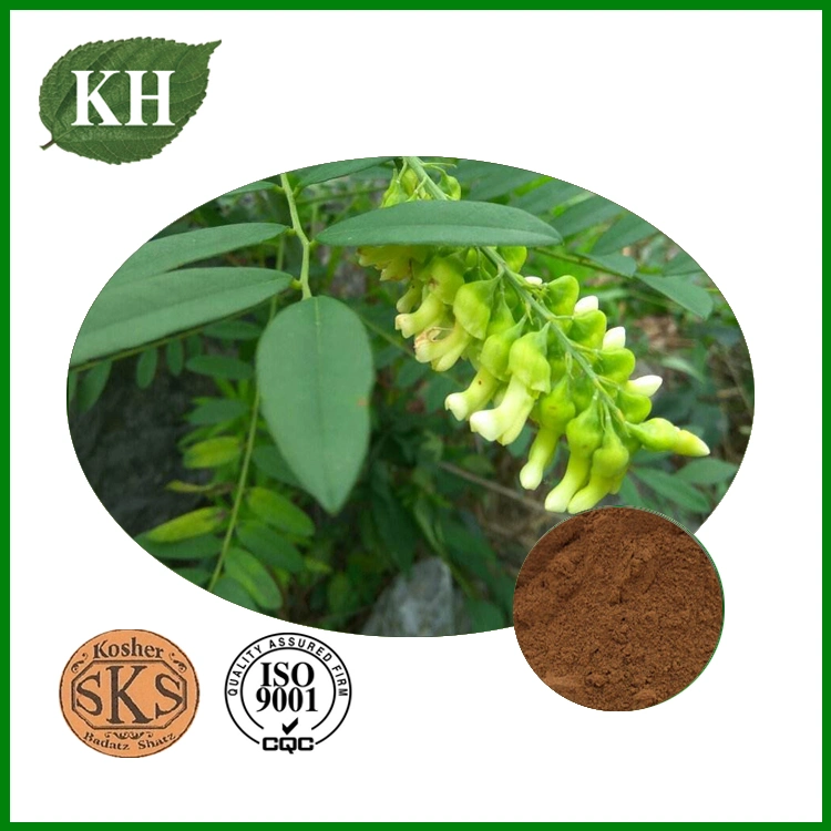 Supplier Astragaloside IV Astragalus Extract