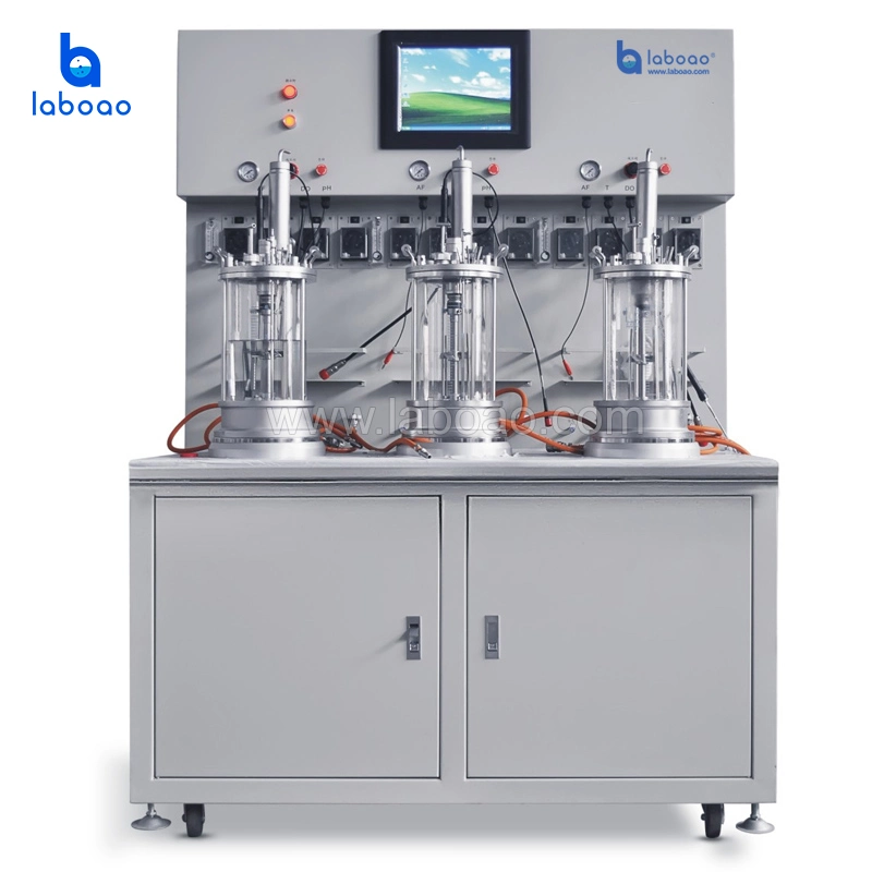 Laboao Basic Multi Parallel Glass Bioreactor Fermenter Jacketed Bench Top Bioreactors