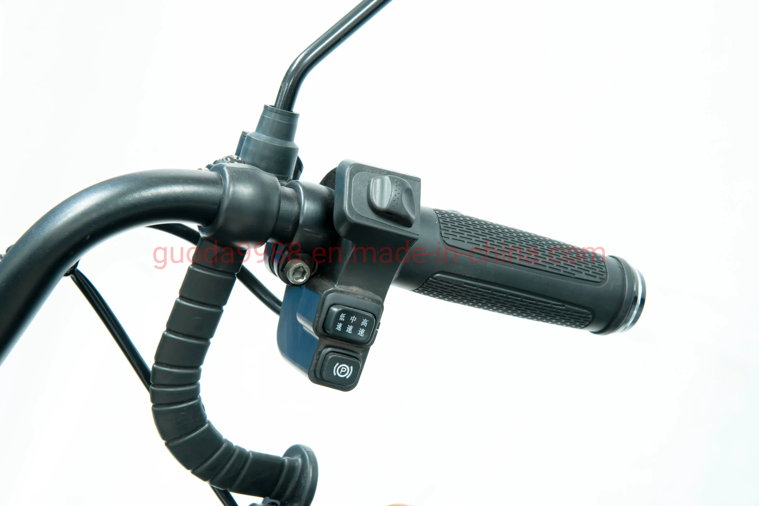 Electric Tricycle Electric Vehicle 48V 20ah Battery Lead-Acid