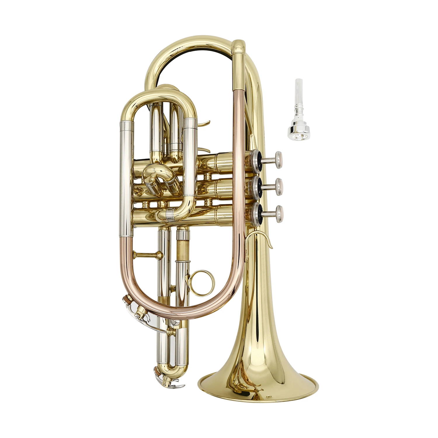 Wholesale/Supplier Cornet Horn, Bb, Made in China, Wholesale/Supplier Supplier