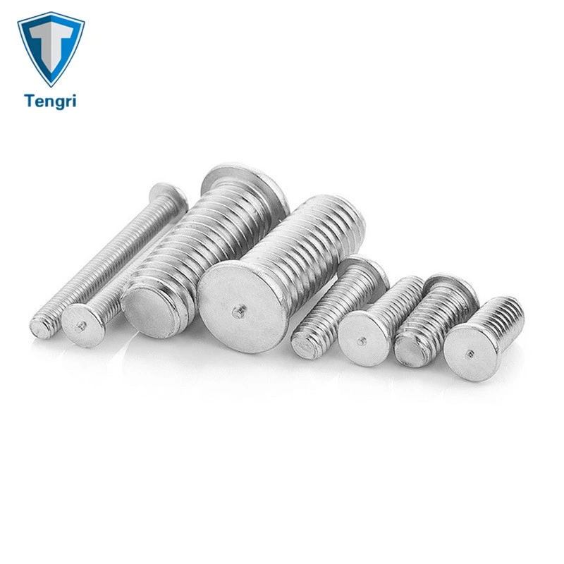 Hardware stainless Steel 304/316 Internal Thread Flat Head Stop Weld Screw