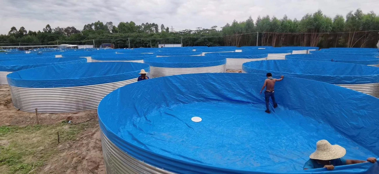 Chapas Galvanizadas Lagoas Ronda móveis fábrica de tanques de criação de peixes em PVC