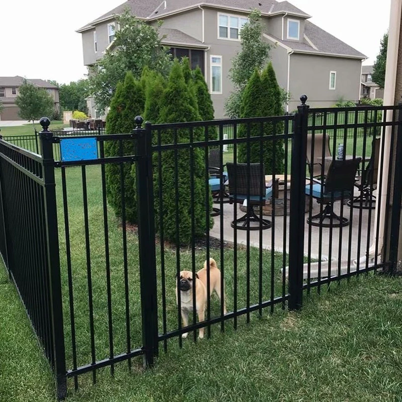 Garden Black Steel Flat Top Fence Security Fence Dog Fence