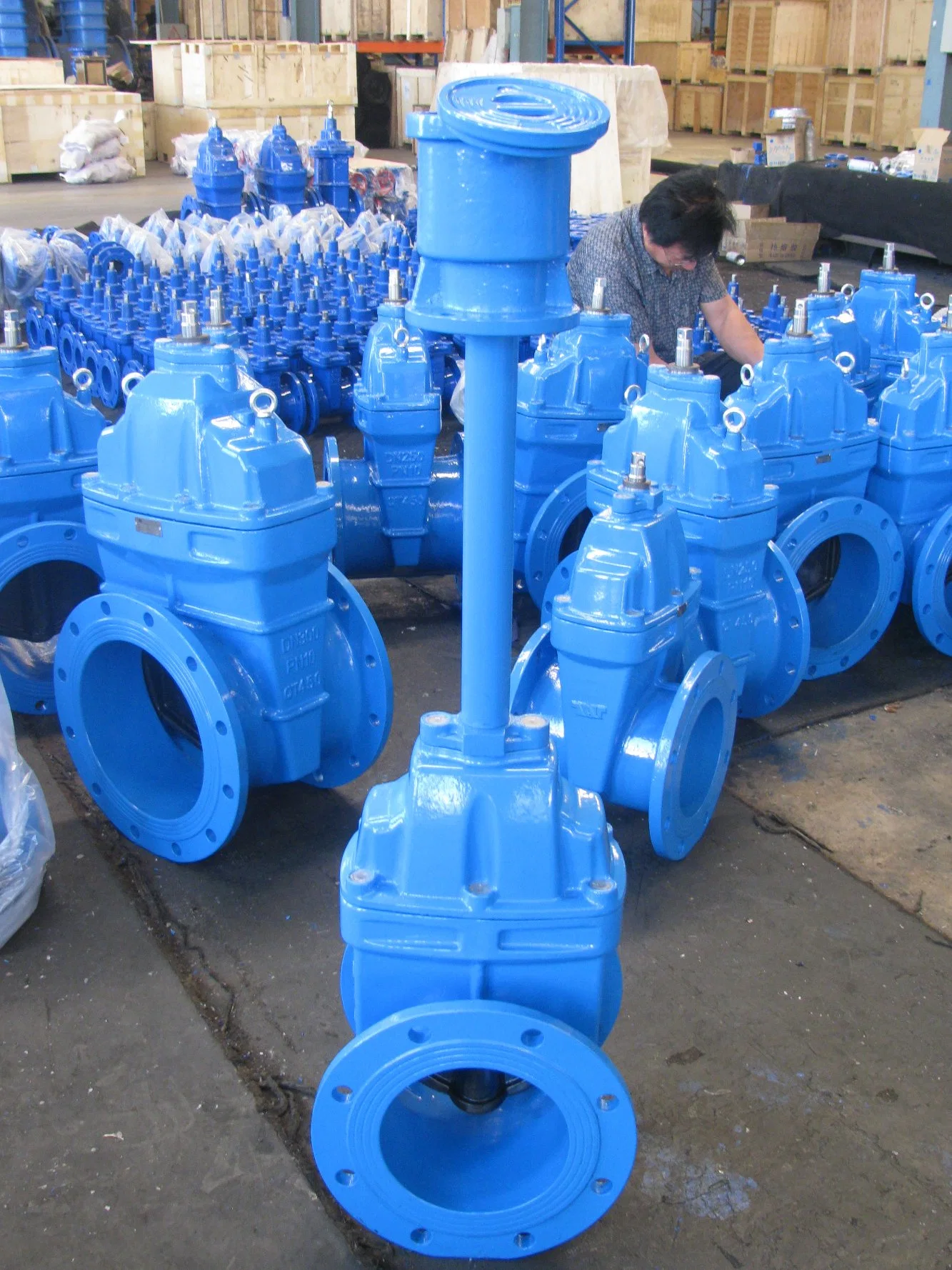 DIN Resilient Seated Gate Valve F4 BS5163 Awwa Soft Seal Gate Valve