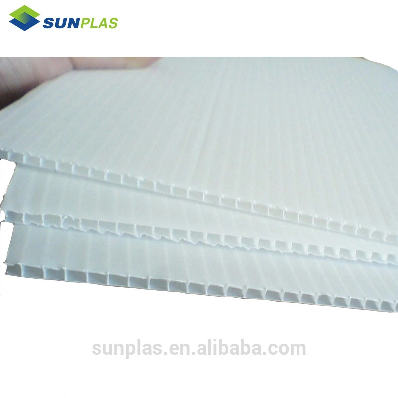 Wholesale/Supplier White Clear Customized Acrylic PP Hollow Corrugated Plastic Sheet