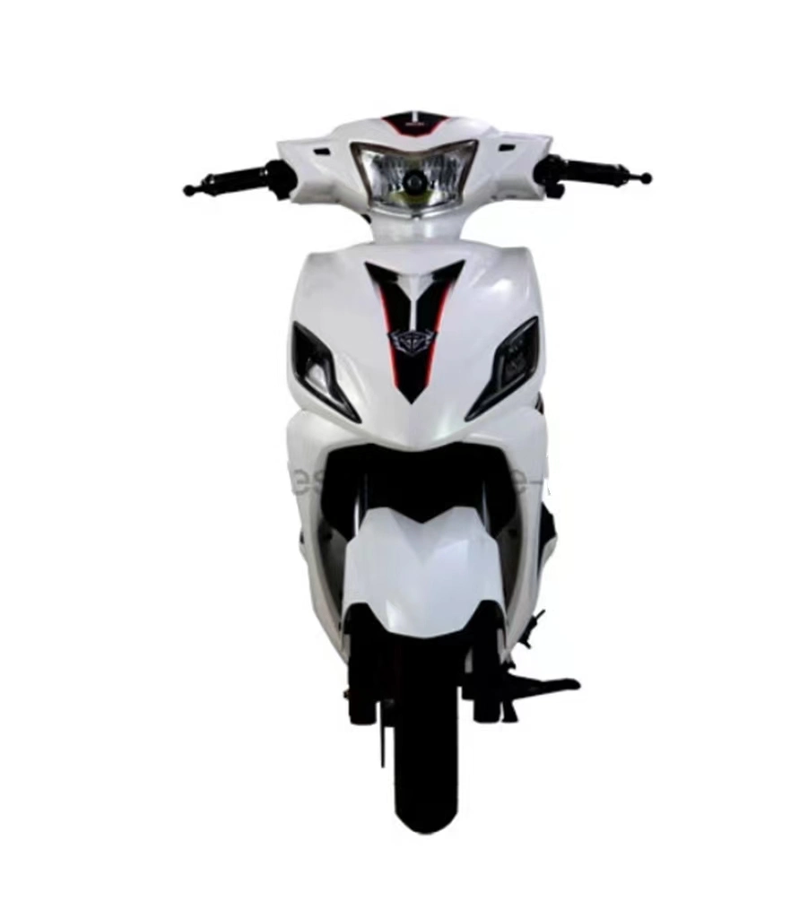 Hot Sale Fast Speed Long Range E-Scooter/E-Bike/ E-Motorcycle