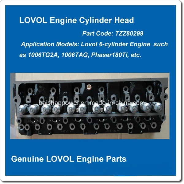 11 Years Lovol Engine Parts of Cylinder Head Assy Tzz80221 Engine 1003G 1006tag Tzz80299