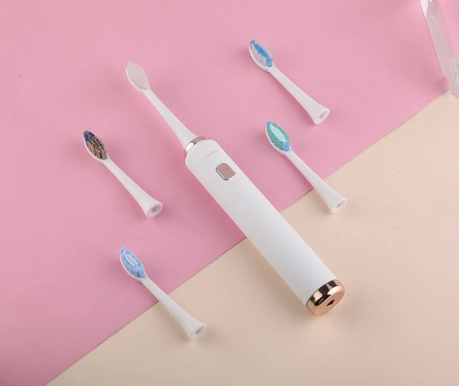 5 Models Ipx8 Waterproof Dental Clinic Oral Care Electric Toothbrush