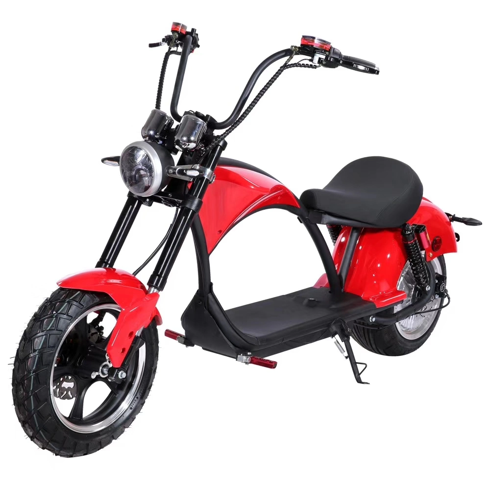 Wellsmove EEC Coc Electric Scooter Citycoco C009 Chopper Offroad Motorcycle