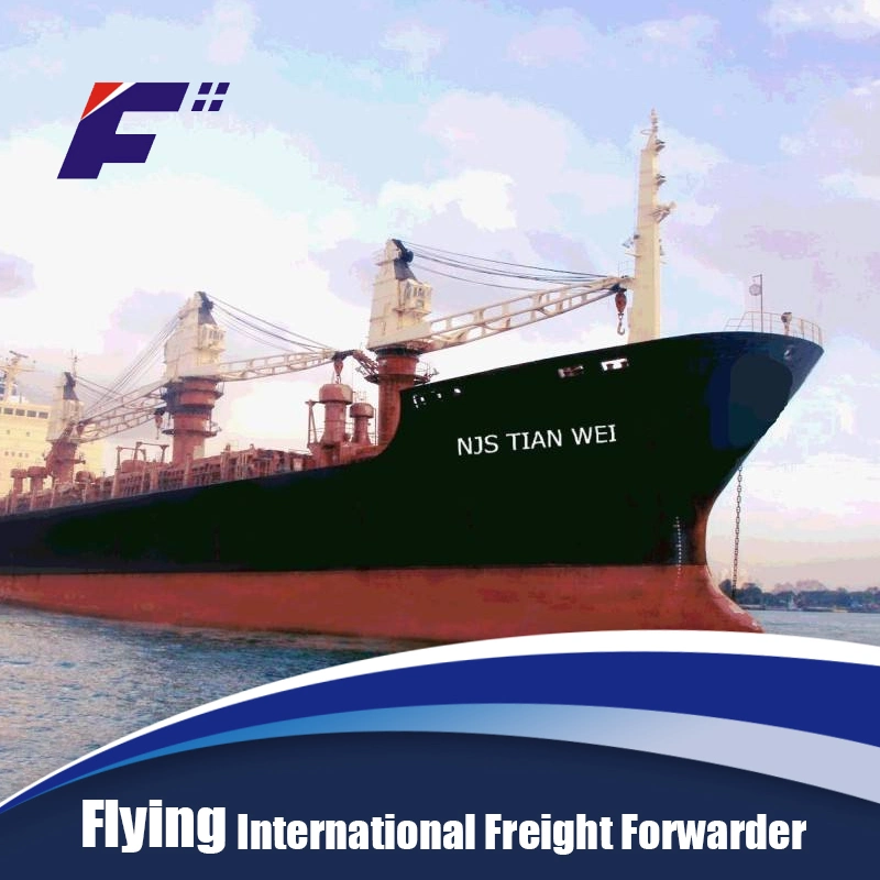 Sea Shipment Logistics Forwarder From China to Australia/Singapore Shipping Agent Logistics Service