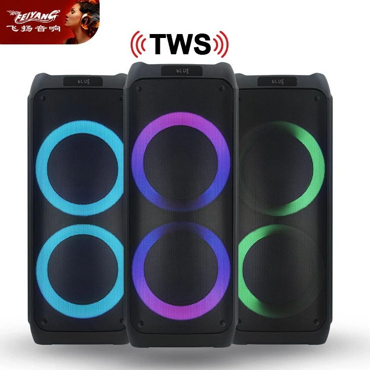 Feiyang Disco Outdoor Tws Dual 12 Inch Best Bluetooth Wireless Speaker