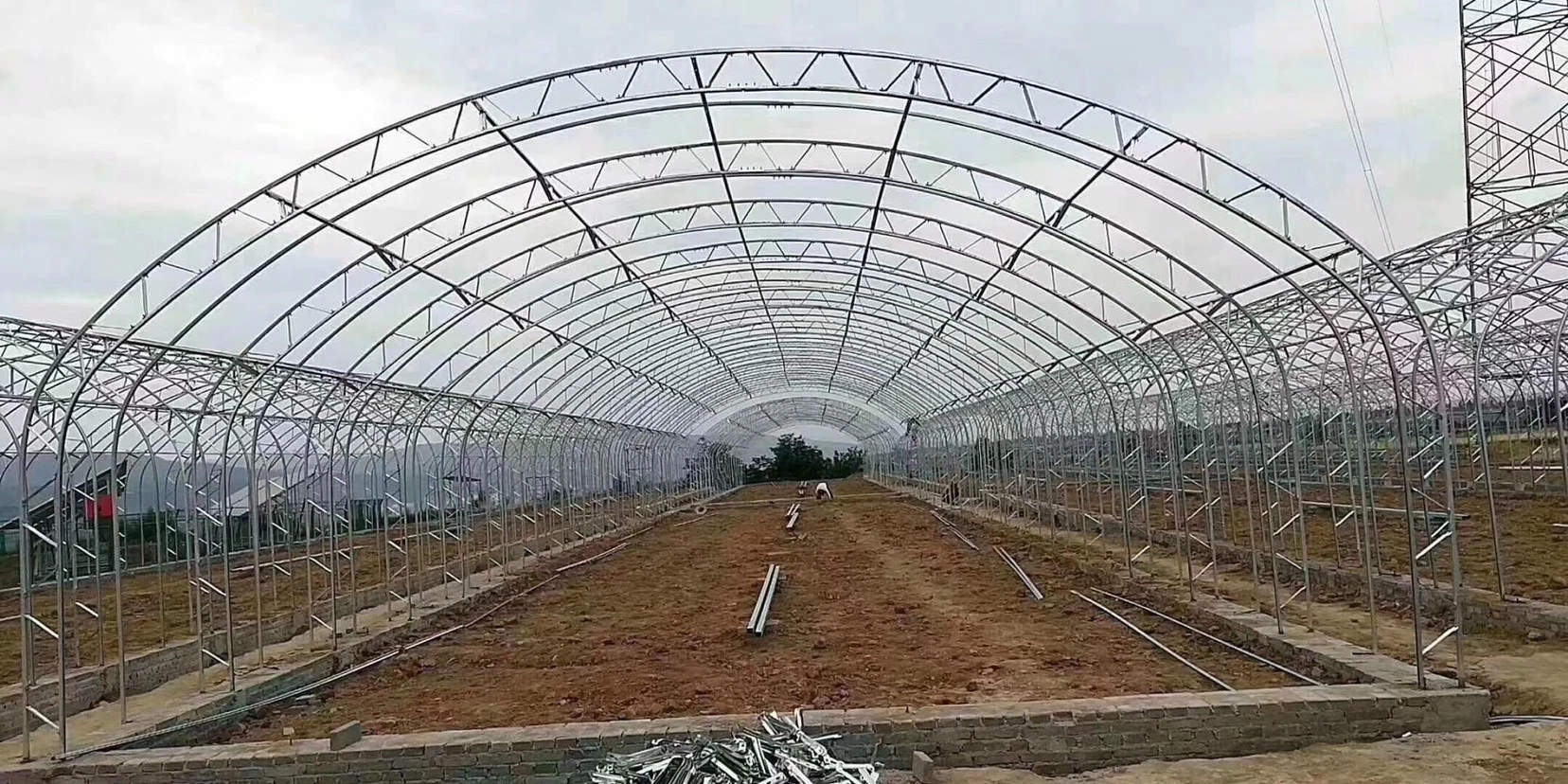 Modern Agriculture Customized Oval Tube Greenhouse with Hydroponics System Irrigation System for Vegetables Fruits Flowers Tomato Tomato