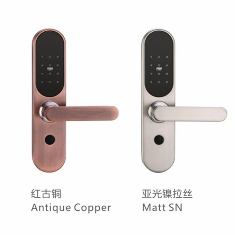 Electronic Biometric Fingerprint Door Lock Keyless Digital Door Lock Fingerprint +Password + Cards+ Mechanical Keys for Home