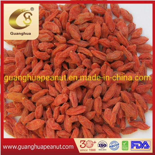 Melhor qualidade secas de Saúde Goji Berry