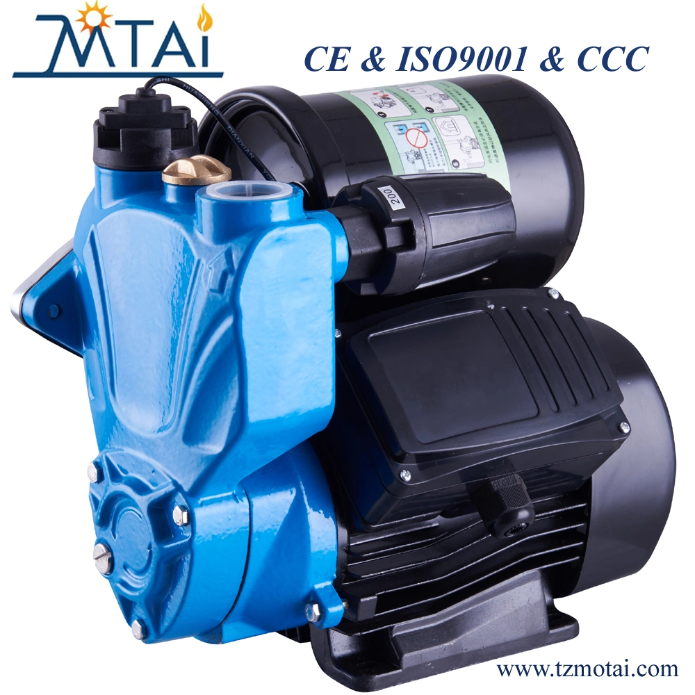 1500W 9.0L/Min Electric Pressure Test Pump 60bar Dsb-60g