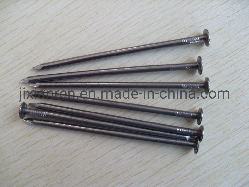 16D (2-1/2") Hot Dipped Galvanized Box Nails