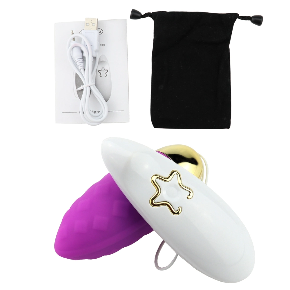 Remote Control Sex Toys Vagina Vibrator Mini Bullet Vibrating Egg Et-Sle-014