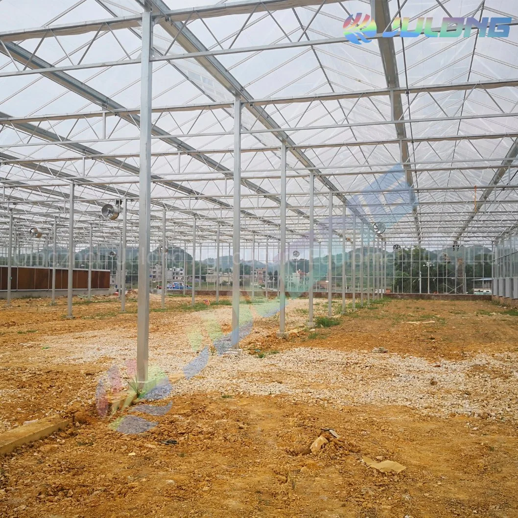 2019 Hot Sale and High quality/High cost performance Glass Hydroponic Growing System Flower Greenhouse