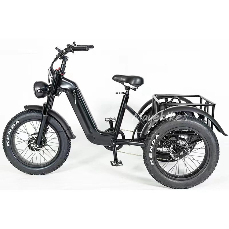 48V 500 واط داخل هيكل الإطار 20" ′ *4.0 Fat Tire Trike كهربائي مع شاشة TF Ourmrter S500 الذكية LCD