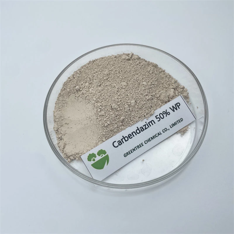 Los plaguicidas Nº CAS 10605-21-7 Fungicida Carbendazim en polvo el 50% Wp