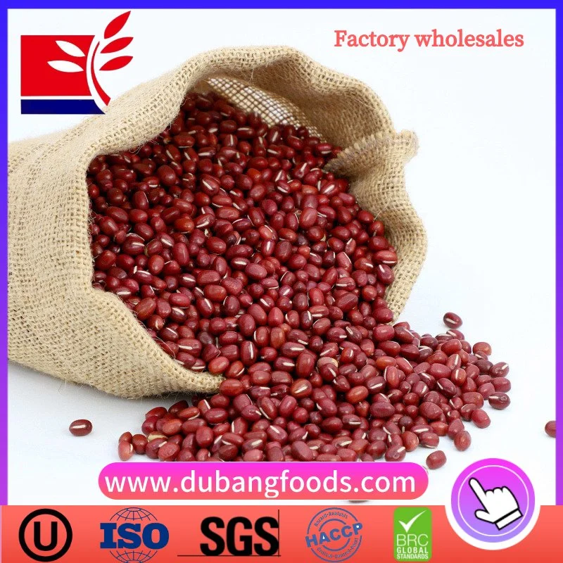 Wholesale Dried Red Beans 4.5mm for Food