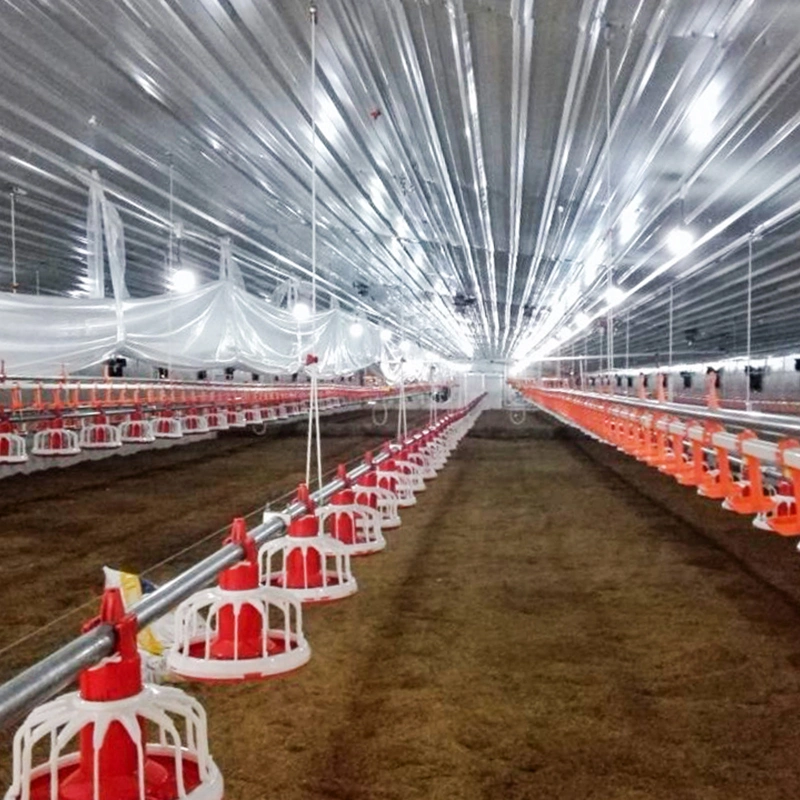 Haute qualité Structure légère en acier préfabriqués ferme avicole de la chambre de poulet