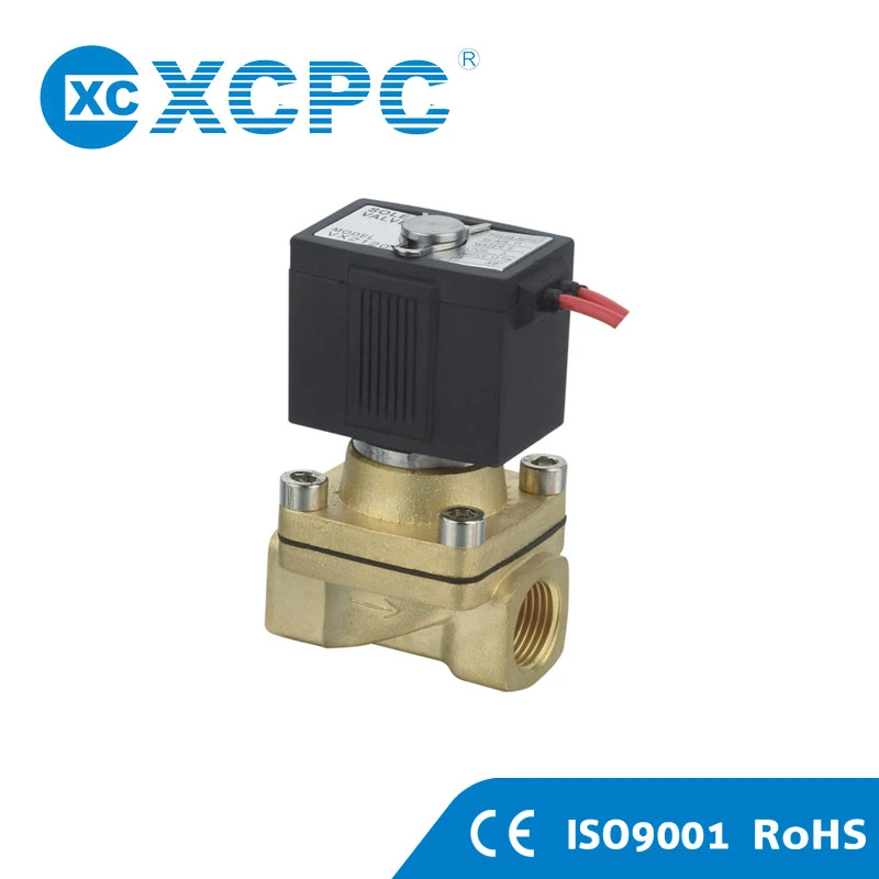 2L 2/2 Way Pilot Operated High Temperature Steam Solenoid Valve