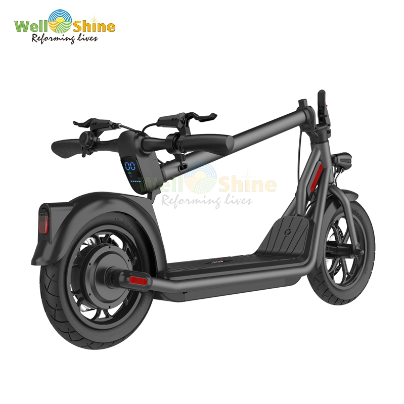 Electric Kick Scooter with Dual Motor for Adults