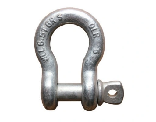 Good Pirce AISI304/316 Bow Shackle with High End Customized and Modern Technology