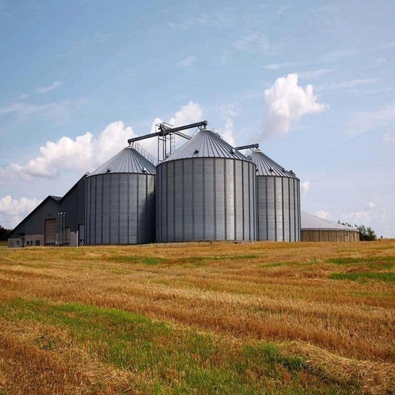 Galvanizing Stainless Steel Grain Storage Silo for Seeds Storage Silo