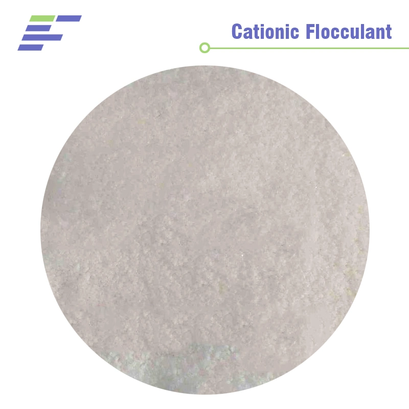 Cationic Flocculant Water Purification (C3h5no) N Chemical Reagent