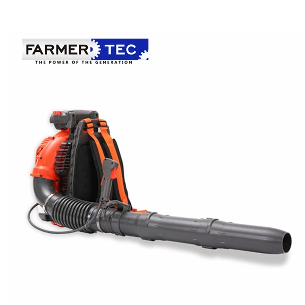 Holzfforma 2 Stroke 75.6cc High quality/High cost performance  Powerful Snow Dust Leaf Gasoline Blower