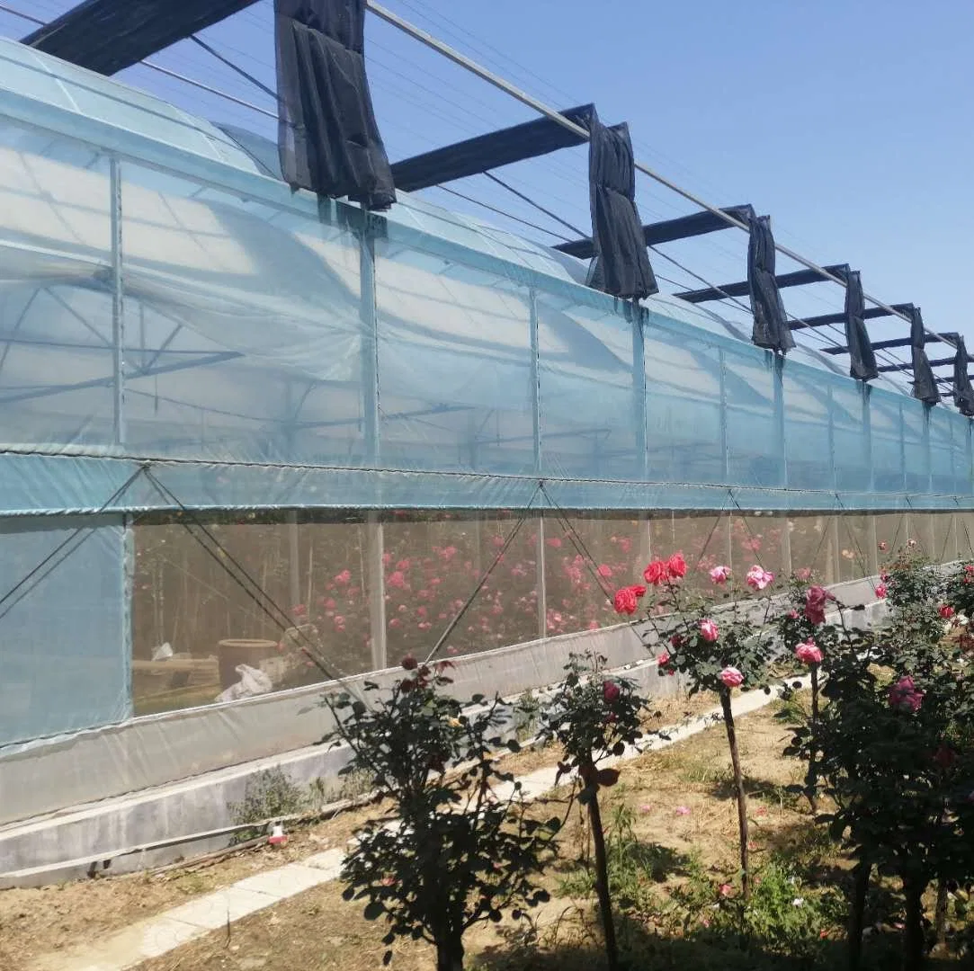 200 Mircon Plastic Film Tunnel Greenhouse for Tomato