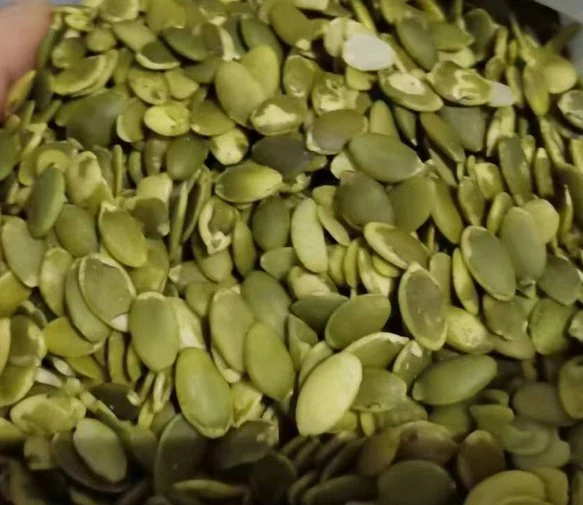 Factory Supply Premium Quality Green Pumpkin Seeds From China