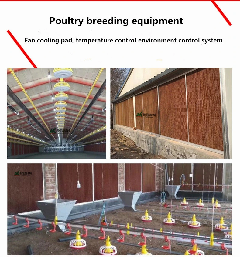 El equipo de alta calidad de la cría de aves Las Aves de Corral de Pollos prefabricados instalaciones