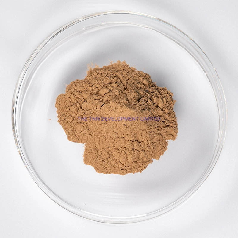 Echinacea Powder Extract Pure Raw Material Echinacea Purpurea Herb Extract 4%